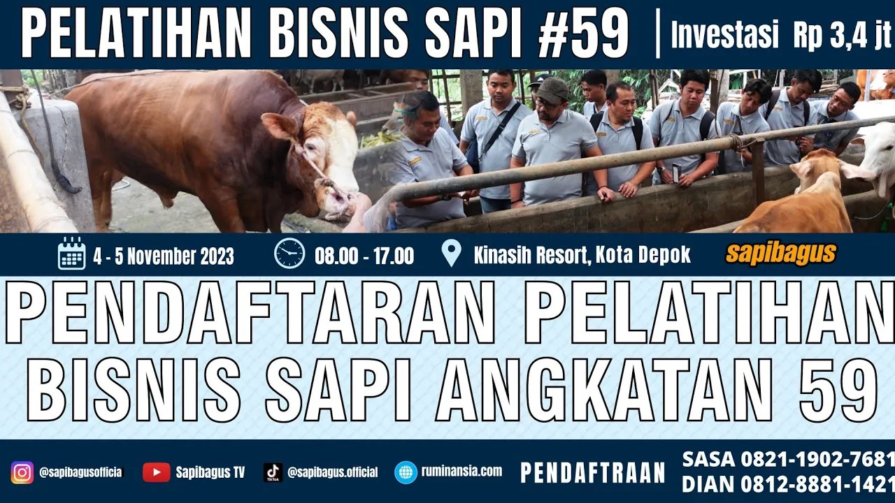 
                                 Pendaftaran-Pelatihan-Bisnis-Peternak-Sapi-Angkatan-59